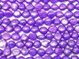 Intense Royal Purple Fresh Water Pearls 7-8mm